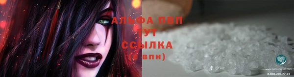 дмт Верея