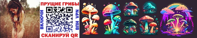 площадка клад  Новосокольники  Галлюциногенные грибы Psilocybine cubensis  ссылка на мегу зеркало 